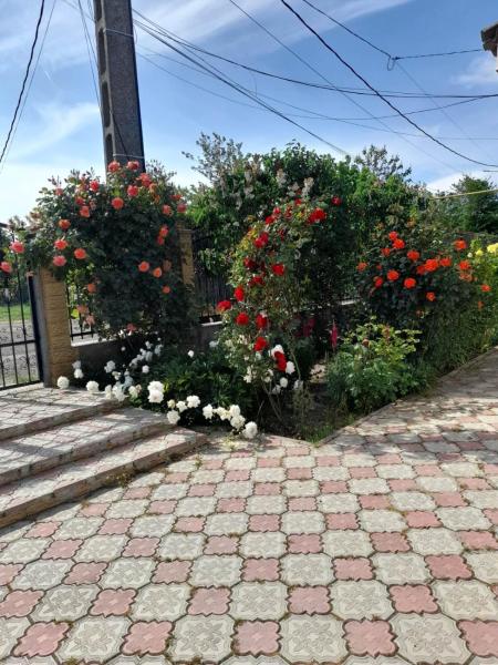 Na fotografii je vidět objekt Casa G nacházející se ve městě Douăzeci şi Trei August.