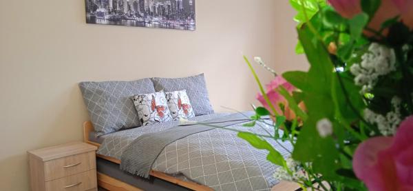 Nella foto è visibile l'oggetto Apartmány Ledeč situato nella città di Vlastějovice.