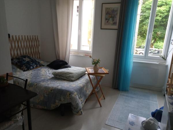 Nella foto è visibile l'oggetto Tiny Studio Ariège Pyrénées situato nella città di Nescus.