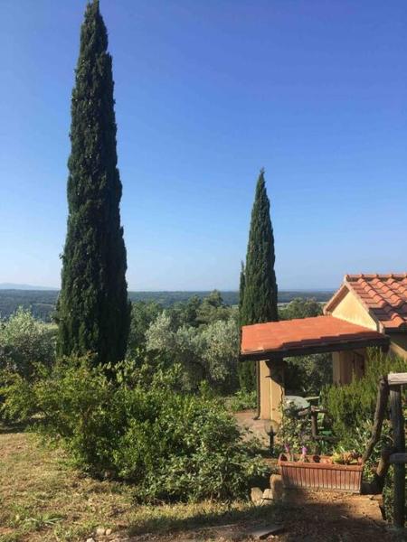 La photo montre l'objet Casa Belvedere -tranquillità tra bosco e ulivi- situé dans la ville de Riparbella.