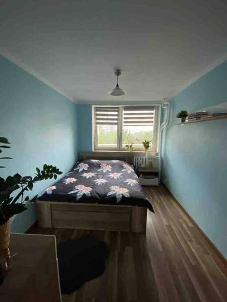 A la foto es mostra l'objecte Apartament przy Parku Śląskim situat a la ciutat de Katowice.