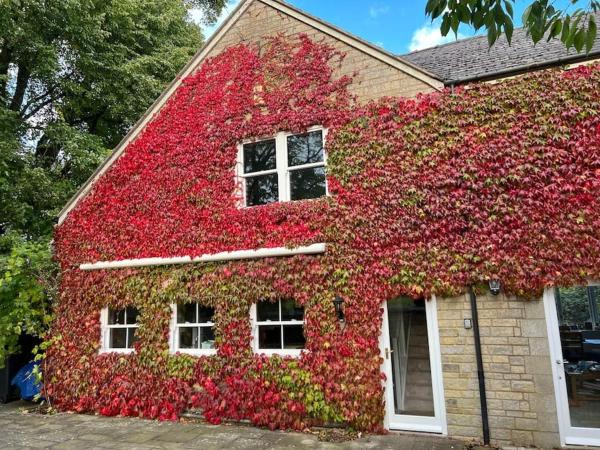 照片显示了位于Brimscombe市的Cotswold dog-friendly holiday home物件。