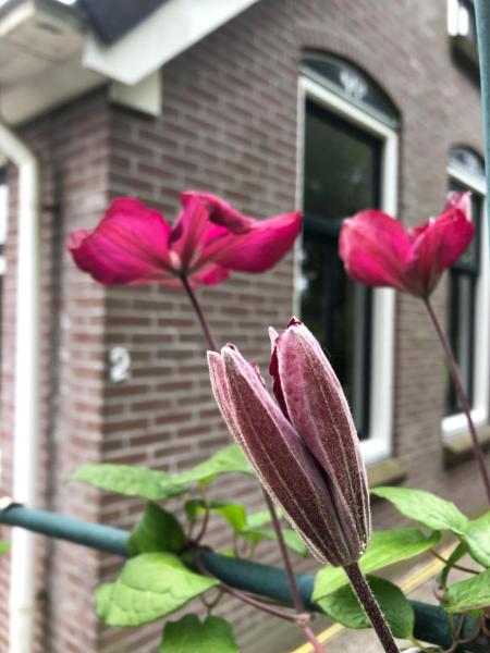 Fotografie 3: B&B Schoonloo - natuur, ruimte & rust