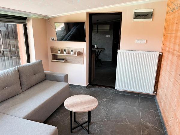 Nella foto è visibile l'oggetto KK Apartment Bajša situato nella città di Mali Iđoš.