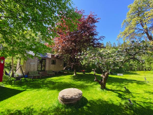 Foto 2: Tiny house - idyllic accommodation