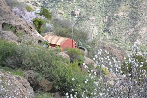 Casa Cueva El Pedregal Tejeda