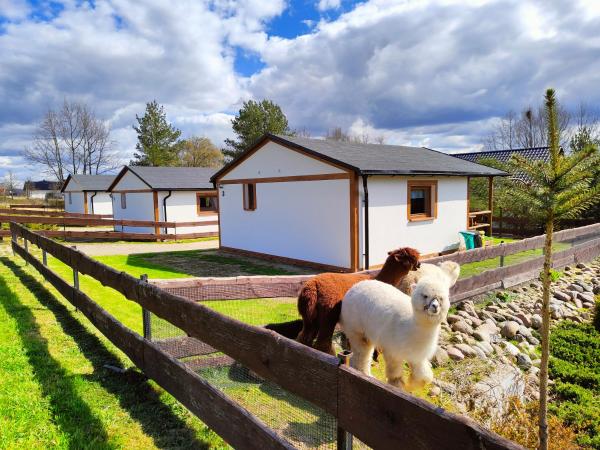 A la foto es mostra l'objecte Domek na Słonecznikowej situat a la ciutat de Chmielno.