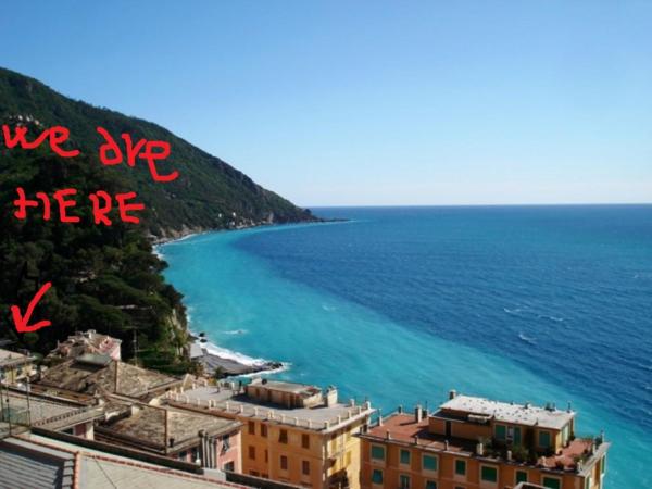A la foto es mostra l'objecte Camogli Sea situat a la ciutat de Camogli.