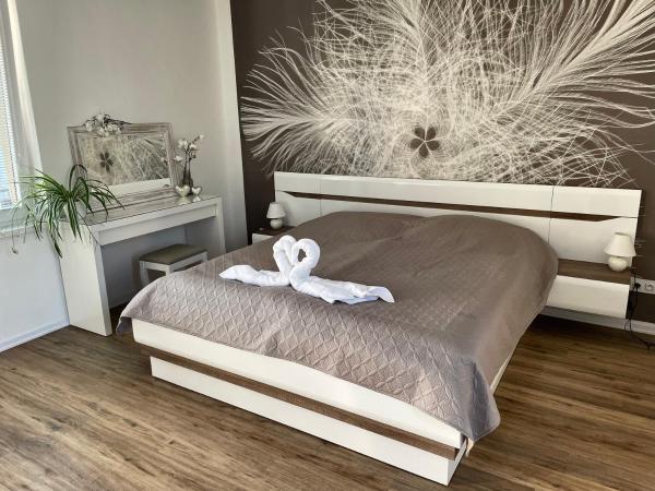 照片显示了位于Budíkov市的Apartmán až pro 9 osob物件。