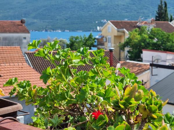 A la foto es mostra l'objecte Attic Baosici situat a la ciutat de Herceg-Novi.