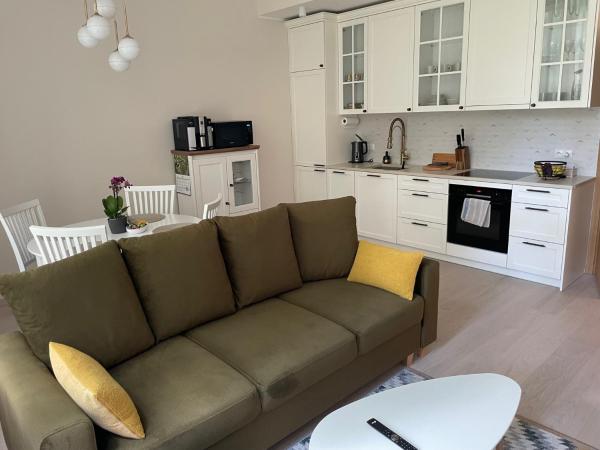 A la foto es mostra l'objecte Sassi Apartment situat a la ciutat de Tartu.