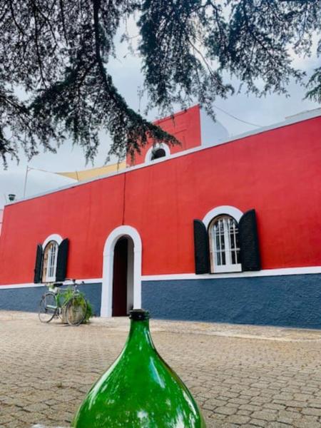 The photo shows the Casina foggia dell'albero located in the city of Putignano.