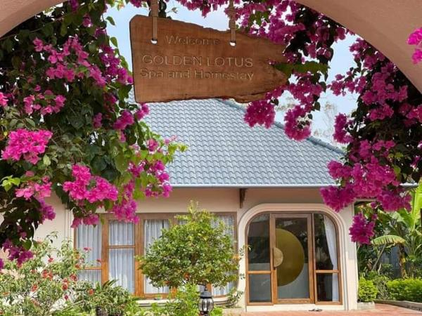 Golden Lotus Spa & Homestay - Phan Thiet