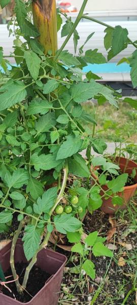 A la foto es mostra l'objecte Chez Cali situat a la ciutat de Eyrans.