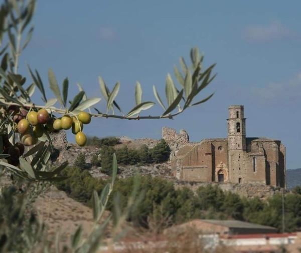 Loft Castelló - Cataluña