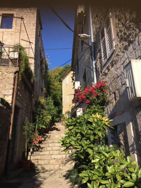 A la foto es mostra l'objecte Apartment Simo situat a la ciutat de Herceg-Novi.