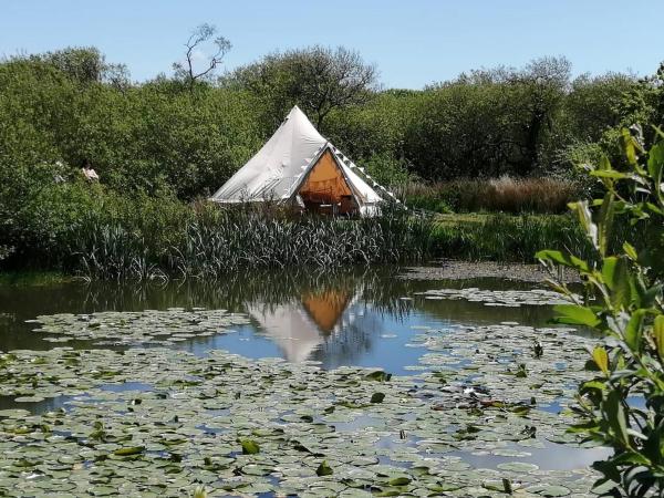 Lakeside Retreat At Amalwhidden, St. Ives - 펜잰스