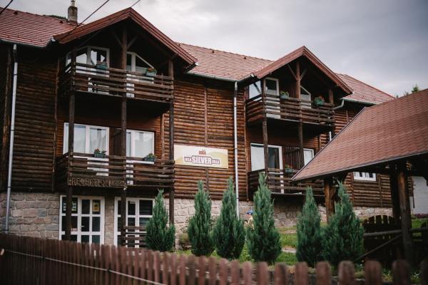 照片显示了位于Băile Tuşnad市的Silver Villa物件。