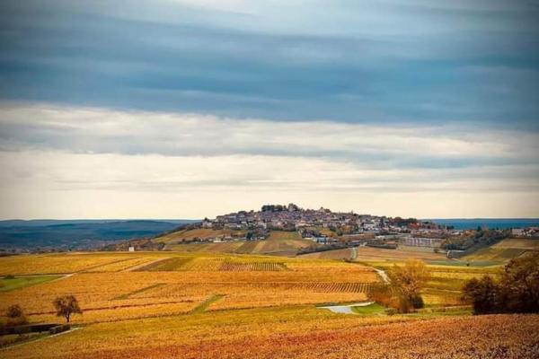 På bilden syns objektet Gite Entre vignes et Loire som ligger i staden Tracy-sur-Loire.
