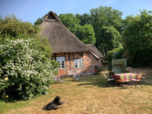 На фото показан объект Holiday Home Reethuus by Interhome, расположенный в городе Gnarrenburg.