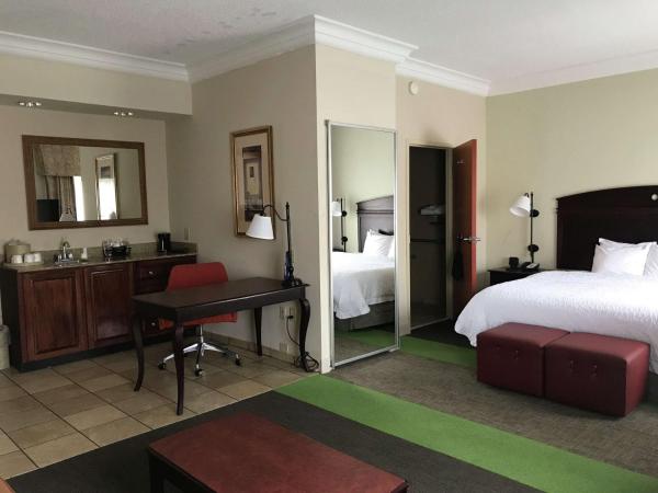 Na fotografii je vidět objekt Hampton Inn Vidalia nacházející se ve městě Vidalia.