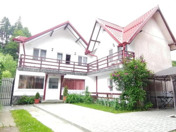 Na zdjęciu widoczny jest obiekt Vila Adelina położony w mieście Buşteni.