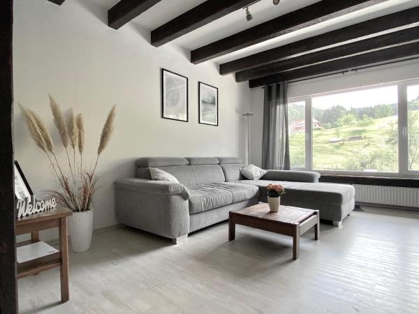 På bilden syns objektet *Schwarzwald-Apartment 2° * som ligger i staden Oberspitzenbach.