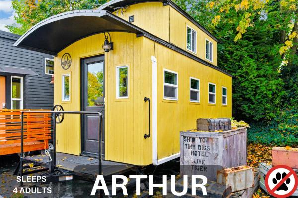 Ettromsleilighet Deluxe med queen-size-seng — 17 m², Variant 4 - Tiny Digs - Hotel of Tiny Houses