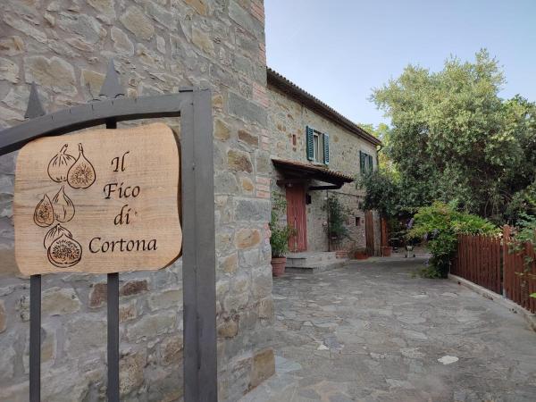 Il Fico Di Cortona - Cortona