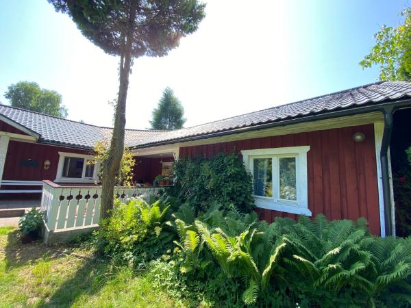 写真にはPrzedbórz市にあるCisze Kamieniecが写っています。