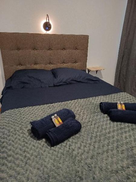 "Hibiscus" city center room
