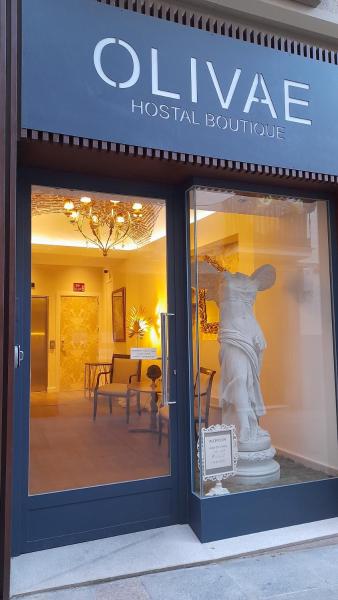 Na fotografii je vidět objekt Olivae Hostal Boutique nacházející se ve městě Cáceres.