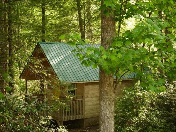 Na zdjęciu widoczny jest obiekt Holly Nest a Cozy Cabin Getaway near Gatlinburg położony w mieście Cosby.