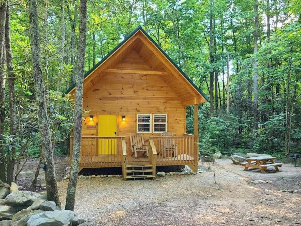 Na zdjęciu widoczny jest obiekt Laurel Haven a Modern Cabin Retreat near Gatlinburg położony w mieście Cosby.
