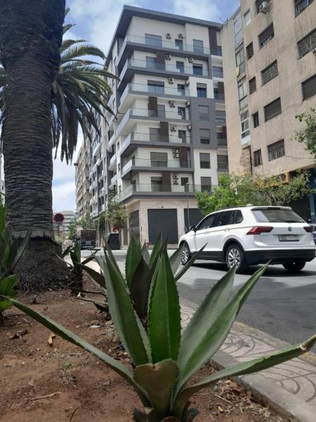 Derb Omar,Tramway,Parking,wifi fibre,Air conditioner, Casablanca