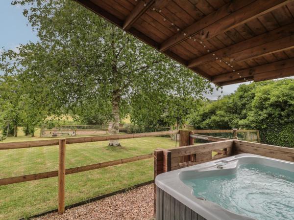 Pigsfoot Lodge - Tiverton Castle