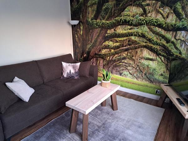 Auf dem Foto ist das Objekt Apartament Natura in der Stadt Sarnowo zu sehen.