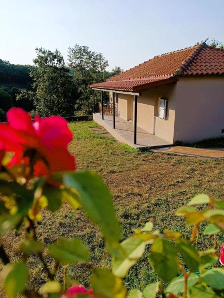 A la foto es mostra l'objecte Billy's house situat a la ciutat de Vlacháva.