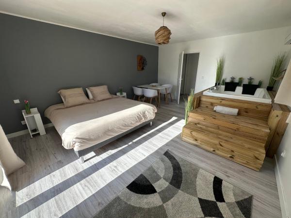 写真にはMontady市にあるStudio SPA Balnéo - Jardin privéが写っています。