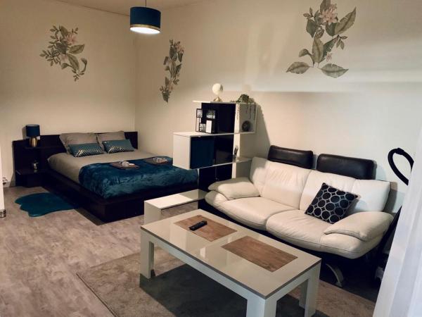 A la foto es mostra l'objecte STUDIO DENAIN situat a la ciutat de Denain.