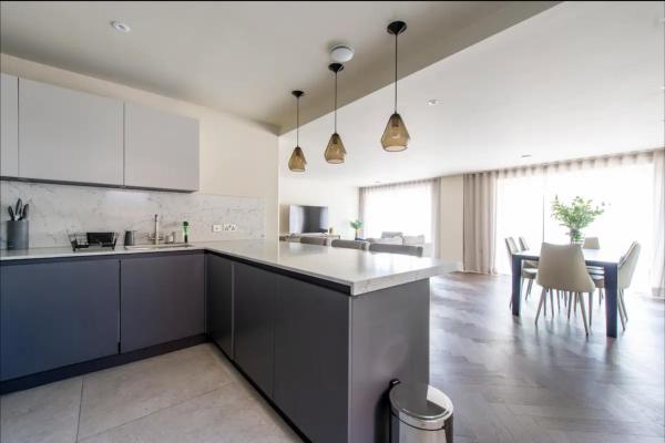 Photo 5 : 2BD, 2BA Urban Oasis CHCL F4