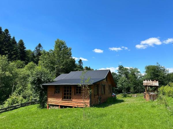 Na fotografii je vidět objekt Nad Głuchym Potokiem nacházející se ve městě Rosochate.