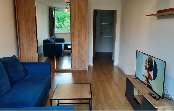 A la foto es mostra l'objecte Apartament Broniewskiego 50m Centrum Nowy Sącz situat a la ciutat de Januszowa.