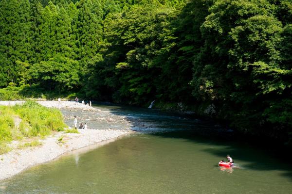 ミヤマテラスの写真3