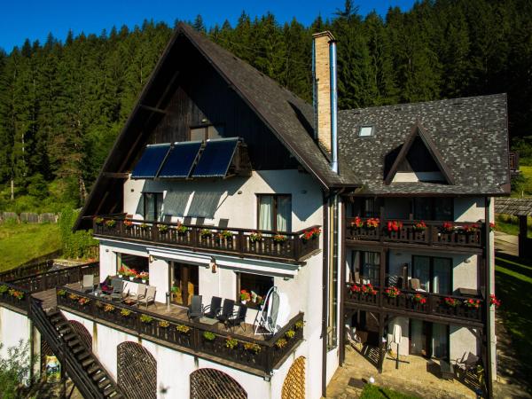 A la foto es mostra l'objecte Bucovina Lodge Pension situat a la ciutat de Vama.