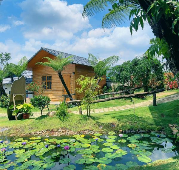 A la foto es mostra l'objecte AN Homestay&coffee situat a la ciutat de Di Linh.