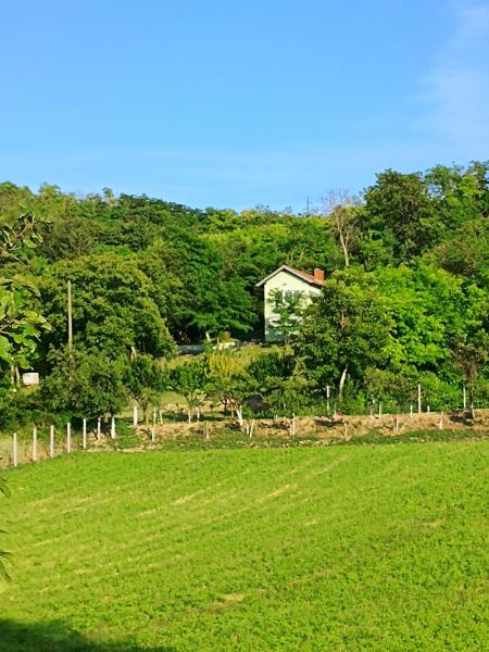 A la foto es mostra l'objecte Baranja green peace situat a la ciutat de Gajić.
