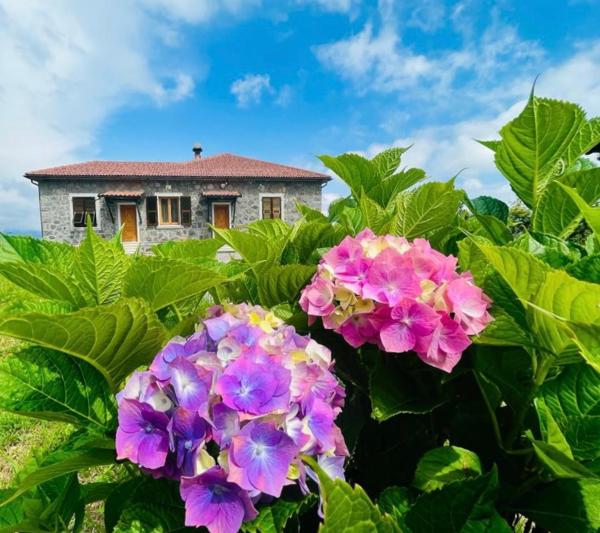 Colle Del Faggio Nature Room - Liguria
