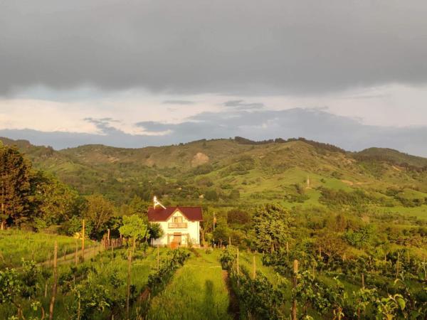 写真にはOreavul市にあるDeleni Retreat - Casa Sitaruが写っています。