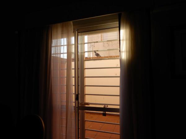 Foto 2: Edificio Parana